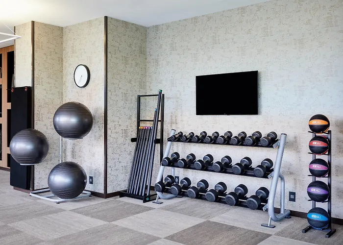 Hotel Ac By Marriott Mall Of America 3*